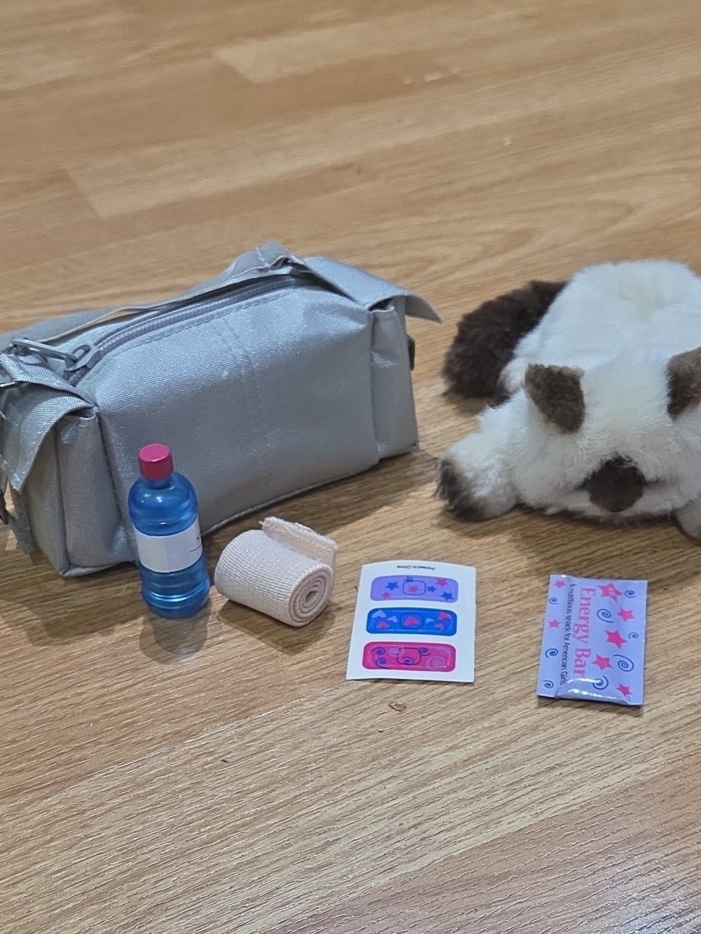 American Girl Marisol Luna Accessories Cat and  Dance Duffle Bag